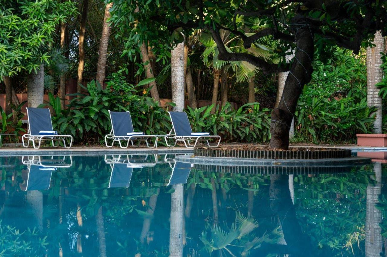 Mango Hill Pondicherry Ngoại thất bức ảnh